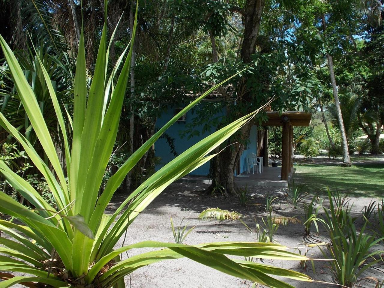 Willa Onca 1024 Trancoso Zewnętrze zdjęcie