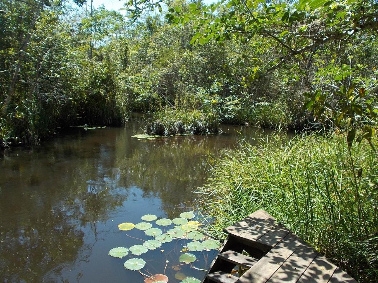 Willa Onca 1024 Trancoso Zewnętrze zdjęcie